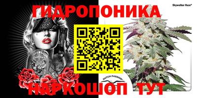 бошки Донецк