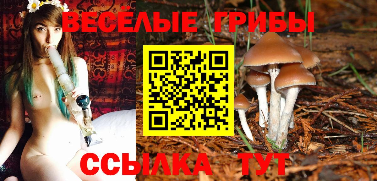 Магнитогорск  купить наркоту  Вход с VPN  Псилоцибиновые грибы Cubensis 