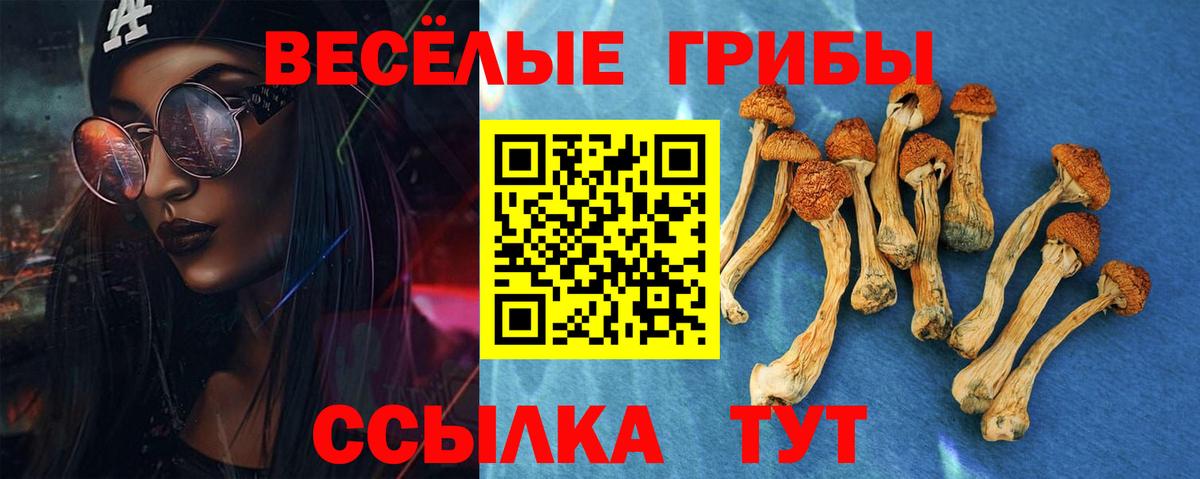 Псилоцибиновые грибы ЛСД Магнитогорск